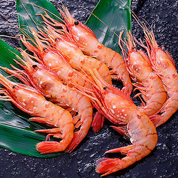 【発掘便】北海風おがわ ぼたんえび　生冷凍品５００ｇ×２パック　お買い得セット