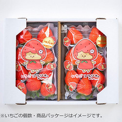 さぬきひめ　260g×2パック