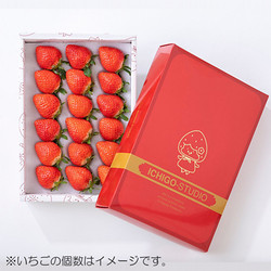 【厳選 贈答用】さぬきひめ　400g