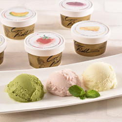 北海道カウベルアイスクリーム10個セット【送料込み】