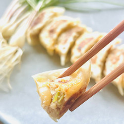 ［鳴門もやい舎］鳴門らっきょ餃子2箱【送料込み】