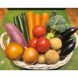［九州屋］おまかせ野菜セット