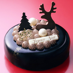 ［アンリ・シャルパンティエ］ショコラ・ドゥ・ノエル（15cm）【船橋店舗お渡し】