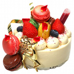 ［ダロワイヨ レ マカロン］パラディ デ レンヌ【船橋店舗お渡し】