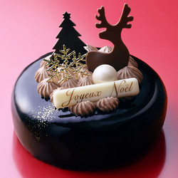 ［アンリ・シャルパンティエ］ショコラ・ドゥ・ノエル(12cm)【池袋店舗お渡し】