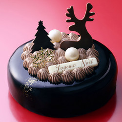 ［アンリ・シャルパンティエ］ショコラ・ドゥ・ノエル(15cm)【池袋店舗お渡し】