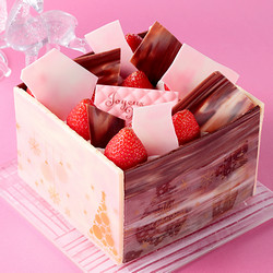 ［ガトー・ド・ボワイヤージュ］デリス シャトー【池袋店舗お渡し】