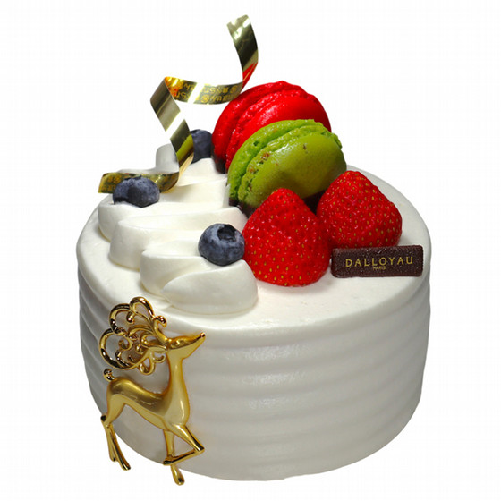 ダロワイヨ レ マカロン］ノエル シャンボール【池袋店舗お渡し