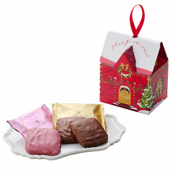 ［アンテノール］クリスマスのお家