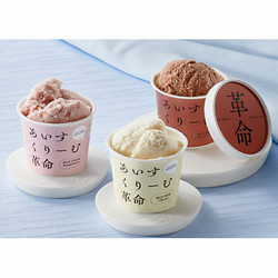〈あいすくりーむ革命〉ジェラートセット