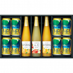 東京国立近代美術館 限定ギフト〈サントリー〉『「日本風景集II 関西篇」より 紀州 瀞』ザ・プレミアム・モルツ×〈フロリダスモーニング〉国産果実ストレートジュース詰合せファミリーセット