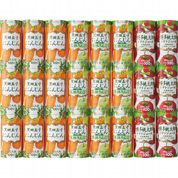 〈フロリダスモーニング〉国産野菜ジュース