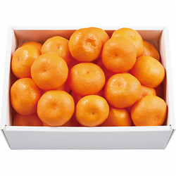 築地定松〉定松セレクトみかん - 東武 冬の贈り物 2025お歳暮 - 【公式