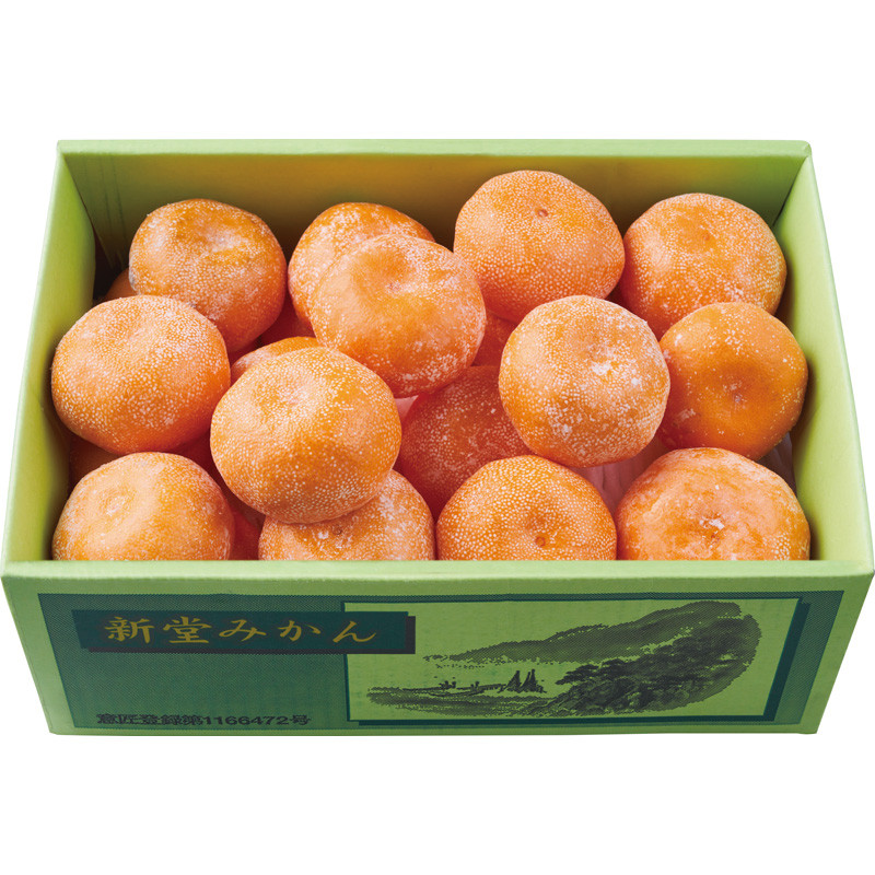 宗兵衛みかん（5kg） - 東武 冬の贈り物 2025お歳暮 - 【公式】東武