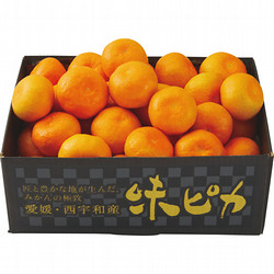 〈築地定松〉味ピカみかん