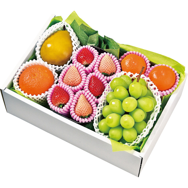 〈フルーツショップ青木〉冬の贈り物フルーツギフトF