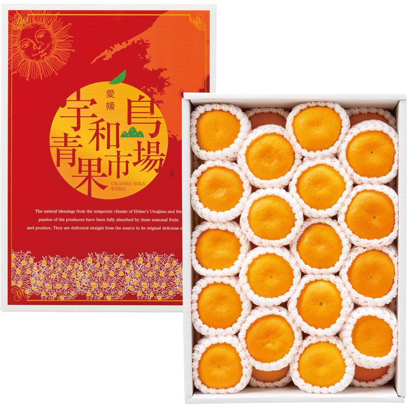 〈宇和島青果市場〉愛媛 温州みかん