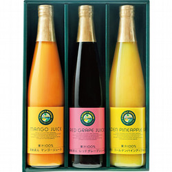 〈フロリダスモーニング〉マンゴー&フルーツ100％ジュース