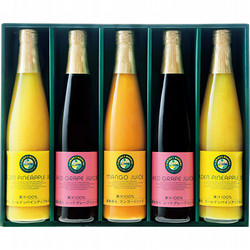 〈フロリダスモーニング〉マンゴー&フルーツ100％ジュース