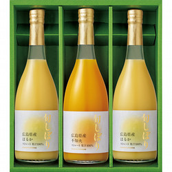 〈フロリダスモーニング〉 旬しぼり 瀬戸内の柑橘ストレートジュース
