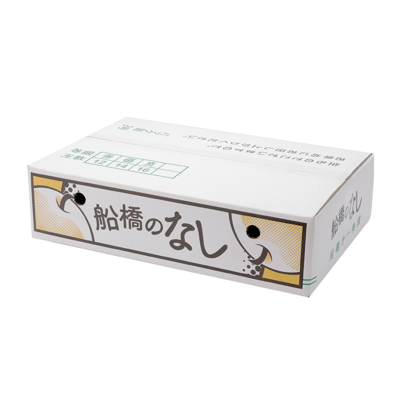［船橋第一共撰梨部会(船橋産)］幸水梨 約5kg（10～12個入り）