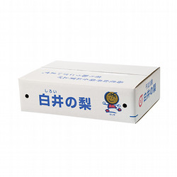 【25】［白井産］幸水梨 約5kg（10～12個入り）