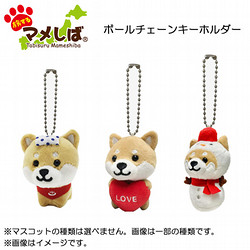 旅するマメしば　バラエティ7点セット