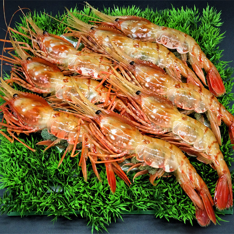 【送料込み】特大子持ちぼたんえび（生食用）