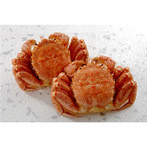 北海道 ボイル毛蟹【送料込み】 - 2026 ぐるめぐり 冬の大北海道展