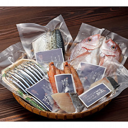 ［桜島灰干し家せいせん］桜島灰干し鹿児島定番セット【送料込み】