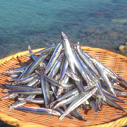 ［馬場水産加工場］きびなご天日干し【送料込み】