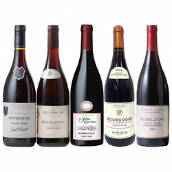 ⑩［リカーショップ］ブルゴーニュ地方〈ピノ・ノワール〉生産者別 赤ワイン 5本セット