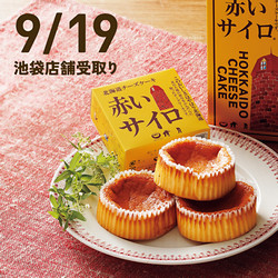 【9月19日(土)午前11時30分～午後6時受取り】［清月］赤いサイロ（1箱/5個入）【池袋店舗受取】