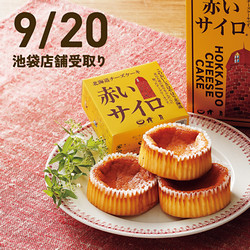 【9月20日(日)午前11時30分～午後6時受取り】［清月］赤いサイロ（1箱/5個入）【池袋店舗受取】