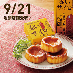 【9月21日(月・祝)午前11時30分～午後6時受取り】［清月］赤いサイロ（1箱/5個入）【池袋店舗受取】