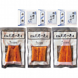 愛知〈豊橋うなぎのあつみ〉愛知三河一色産小分けうなぎ蒲焼