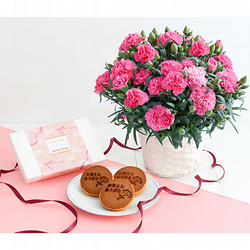 ［ホシファーム］カーネーション鉢＆徳島なると金時のどら焼き【送料込み】