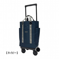 ［スワニー］ブリル L21（D-631）