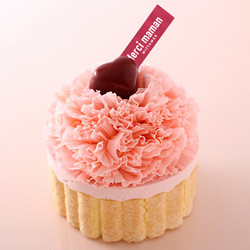 ［ヴィタメール］ロゼ・ノーブル（10.5cm）【池袋店舗受取】