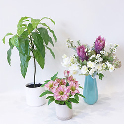 【年内配送】［パレフローラ］新春パレフローラ福袋