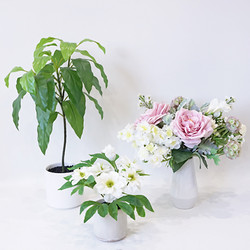 【年内配送】［パレフローラ］新春パレフローラ福袋