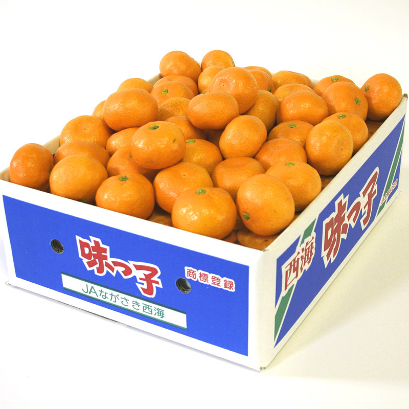 年内配送】［九州屋］JAながさき西海のみかん福袋（味っ子みかん