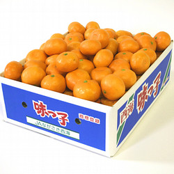 【年内配送】［九州屋］JAながさき西海のみかん福袋（味っ子みかん）