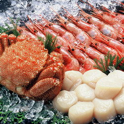 【年内配送】［カネコメ田中］毛ガニ＆ホタテ＆甘えび【送料込み】