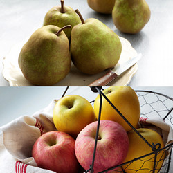 【年内配送】［東根農産センター］山形県産ラ・フランス＆サンふじ＆シナノゴールド【送料込み】