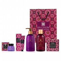 年明け配送】［スパセイロン］スパセイロン 東武限定ホーム ウェルネス