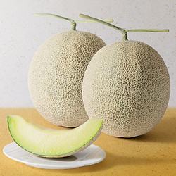 【年明け池袋店お渡し】［京都 八百一］静岡県産マスクメロン2玉