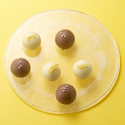 ［鎌倉ニュージャーマン］果実酒トリュフ6個入