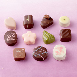 ［京都ふらんすや］みやこの桜