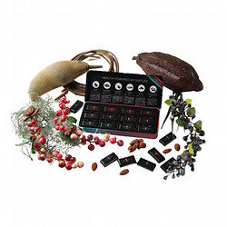 ［NOX ORGANICS(ノックスオーガニックス)］Special Edition12(スペシャルエディション)